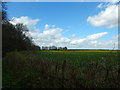 SU8477 : Field on Butches Lane near White Waltham by James Emmans