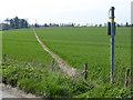 Footpath from Salters Lane