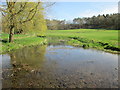 Stream at Watersplace Farm