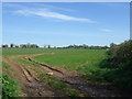 SK0918 : Field off Pipe Wood Lane by JThomas