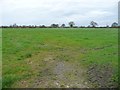 Farmland west of Yatehouse Lane