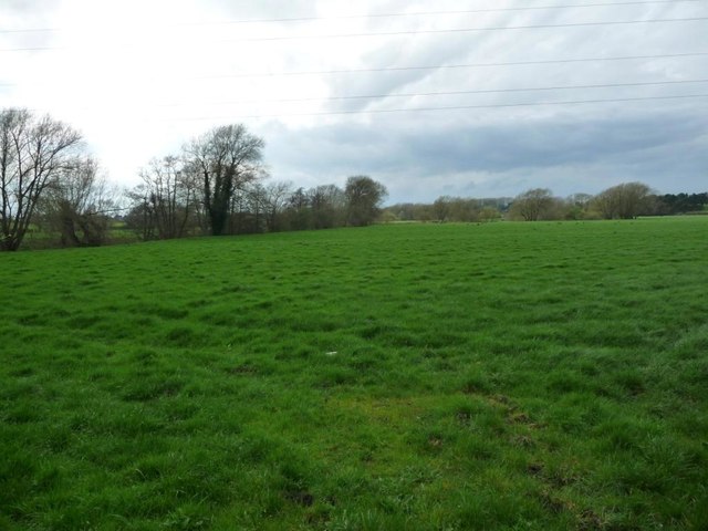 Farmland on the north bank of the River Dane
