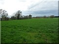 Farmland on the north bank of the River Dane