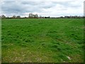 Dairy farmland, east side of Byley Lane