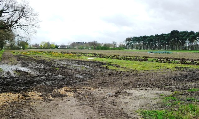 Horticultural land, west of Goostrey Farm