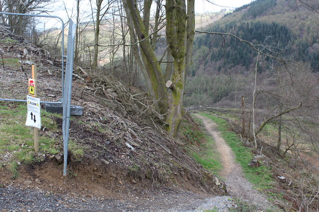 cwmcarn forest drive mountain bike trail