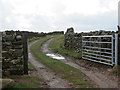NY8117 : Bridleway to Floddering Hill by Peter Wood