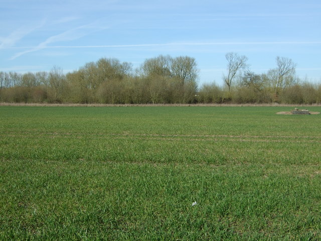 Crop field towards Rookery Plantation