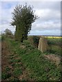 Walton Grounds Triangulation Point