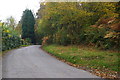 Waterlake: lane towards Lostwithiel