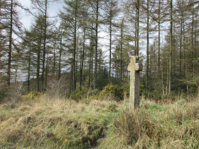 Mauley Cross near Stape