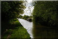SJ5847 : Looking west from Wrenbury Frith Bridge by Christopher Hilton