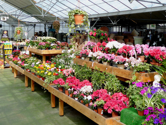 Lealans Garden centre plants near Shipley, Shropshire