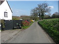 Lane to Ley Green, Kings Walden