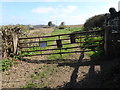 Footpath through the fields