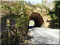 The B2110 goes under Bluebell Railway from the east