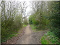 Byway at Stony Wood, Kings Walden