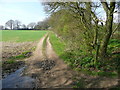 Restricted byway at a footpath crossing, Kings Walden