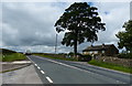 Highgate Cottages along the A65