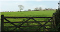 Field by South West Coast Path, Stoke Fleming