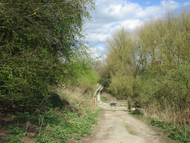 Barlow Common, Selby - area information, map, walks and more