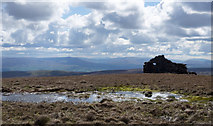 NY8124 : Bog with ruined building by Trevor Littlewood