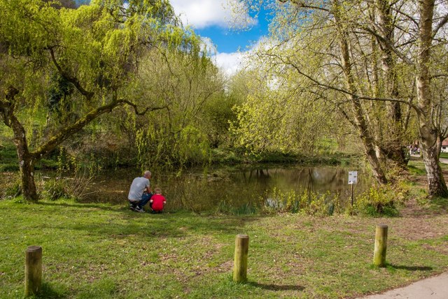 Yeovil Country Park: Time to learn