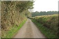 Lane near Butterdon