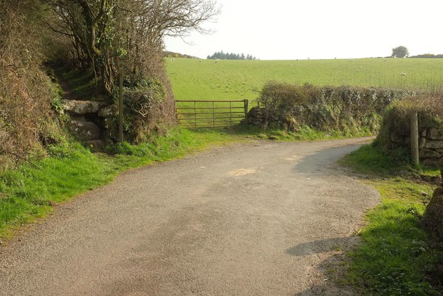 Footpath crossing lane south of Butterdon