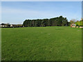 Playing fields, Langham