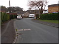 Thick Hollins Drive - viewed from Cheviot Avenue