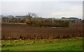 NO0831 : Farmland by the A9 at Marlehall by Alan Reid