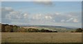 Field by the A381