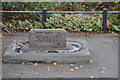 Tony the Dog Memorial Trough