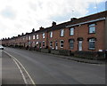Long row of houses on the west side of Chilton Street, Bridgwater