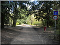 Track through Bestwood Country Park (1)