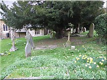 TQ4851 : St Mary, Ide Hill: churchyard (c) by Basher Eyre