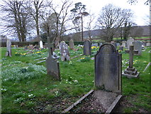 TQ4851 : St Mary, Ide Hill: churchyard (h) by Basher Eyre