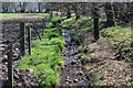 Roadside stream, Manmoel Road