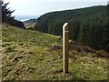 NS4476 : Marker post beside a path by Lairich Rig
