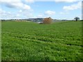 Farmland around The Bourne