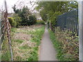 SE2510 : Footpath - Spring Grove, Barnsley Road by Betty Longbottom