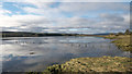 Spring morning beside the Cromarty Firth at Dingwall