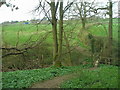 Footbridge over Sud Brook, south of Newgate