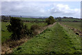 SD4561 : Lancashire Coastal Way looking South by Robert Eva