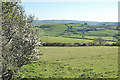 Fields west of Bryngwyn