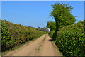 Footpath on farm track