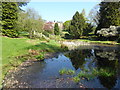 TQ5137 : Pond in the gardens of Burrswood Hospital by Marathon