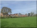 Houses in an estate at the edge of Willand