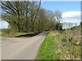 Road through Graig Wood